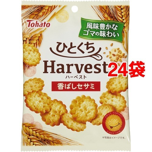東ハト ひとくちハーベスト 香ばしセサミ 50g 24袋セット ビスケット クッキー の通販はau Pay マーケット 爽快ドラッグ 商品ロットナンバー