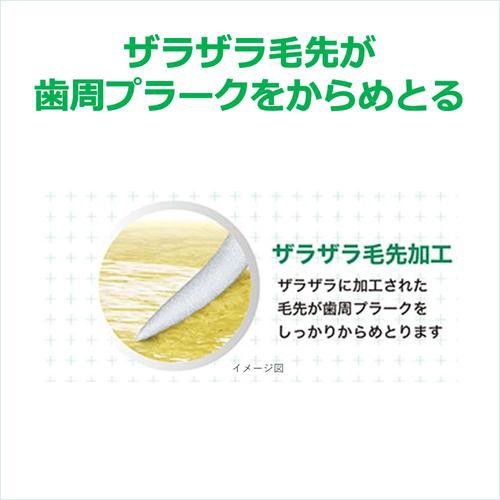 30%OFF ガム(G・U・M) やわらかめ(120本セット)の通販はau PAY マーケット - 爽快ドラッグ|商品ロットナンバー:436441804 ウェルプラス デンタルブラシ #366 4列超コンパクト 人気セール2022