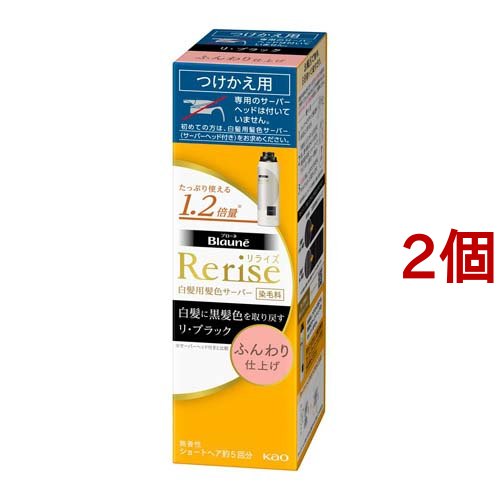 Web限定 リライズ 白髪用髪色サーバー リ ブラック ふんわり仕上げ つけかえ専用 190g 2個セット 白髪染め 女性用 開店祝い Farmerscentre Com Ng