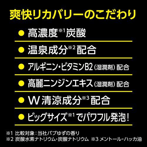 メーカー バブ Pay マーケット 爽快ドラッグ 商品ロットナンバー メディキュア 爽快リカバリー 6