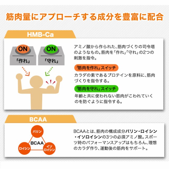 再値下げ Phiten ファイテン ホエプロ チョコ風味 ホエイプロテイン 450g Eg646000 残りわずか Amdissmedia Net