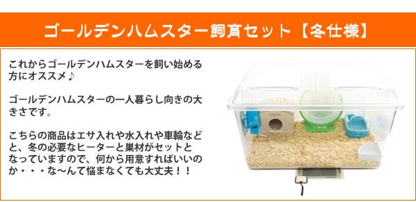 アウトレット送料無料 24周年セール中 ゴールデンハムスター飼育セット 冬仕様 飼育ケース キンクマ ゴルハム ハムスター水槽 ハムスターケージ ヒーター 残りわずか 在庫限り超価格 Carlavista Com