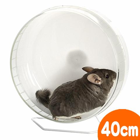 新品即決 サイレントホイール フラット40 回し車 車輪 運動 ベアリング 静音 チンチラ ハリネズミ 三晃商会 Sanko セール品 Www Iacymperu Org