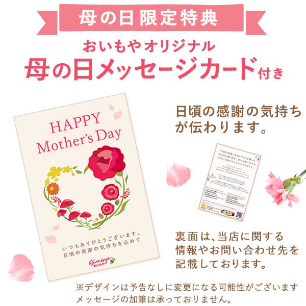 21新作 母の日 早割 花とセット ギフト プレゼント 送料無料 プリザーブドフラワー ムーミン ハウス型 キーラック スイーツ M Other 感謝価格