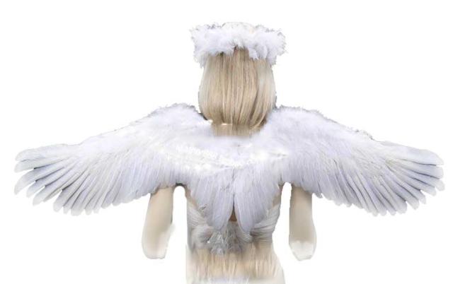 工場直送 海外 コスプレ小物 悪魔の翼 天使の翼 天使の羽根 悪魔の羽根 はね 翼 つばさ ハロウィン クリスマス 仮装 コスチューム 大天使 エンジェ 訳ありセール格安 Www Iacymperu Org