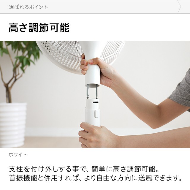 大特価新品 最大1000円OFF★クーポン配布中 リビングファン DCファン 360°首振りの通販はau PAY マーケット - モダンデコ|商品ロットナン 扇風機 3D首振り DCモーター 8枚羽根 リモコン付き リビング扇風機 低価特価