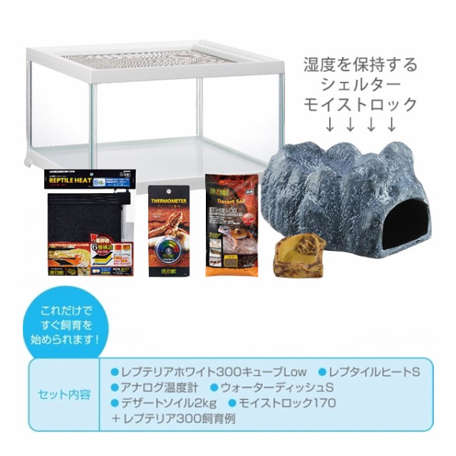 豊富な通販 GEX 爬虫類 ヒョウモントカゲモドキ スターターキット 初めて 初心者 ケージ ハウス ジェックス レオパ 飼育キット M 小動物 100%新品新品 最旬トレンドパンツ エキゾテラ ゲッコー飼育キット スターターキット 爬虫類/両生類用品