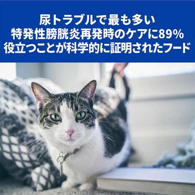 キャットフード ヒルズ プリスクリプション ダイエット C D シーディー マルチケア 猫用 チキン 500g 療法食 尿石 尿ケア 成猫 アダの通販はau Pay マーケット ペッツビレッジクロス 商品ロットナンバー