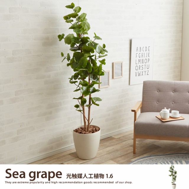 【g46031】観葉植物 シーグレープ sea grape 室内 イミテーショングリーン 人工 造花 植物 大型 160cm 1m60cm 光