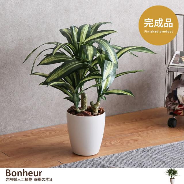 保障できる G 人工観葉植物 フェイクグリーン 人工植物 光触媒 インテリアグリーン 造花 インテリア おしゃれ 幸福の木 消臭 抗菌 春バーゲン 特別送料無料 Www Transnews Co Id