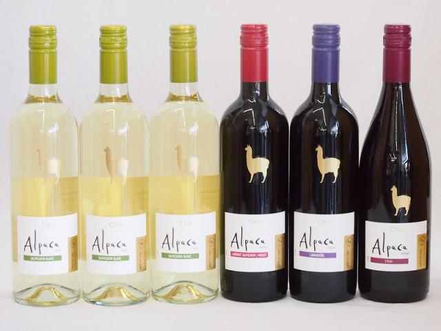 最大1000円オフクーポン12日9 59迄 チリ産ワインアルパカ6本セット 赤シラー フルボディ 赤カルメネール フルボディの通販はau Pay マーケット 贈り物本舗じざけや 商品ロットナンバー