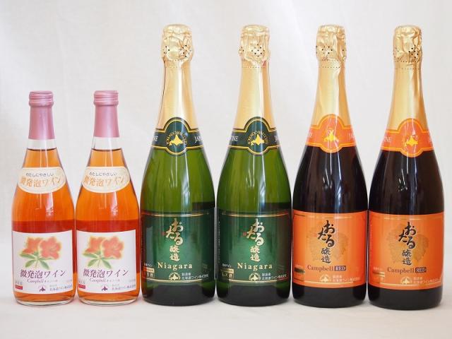 驚きの値段 北海道おたるスペシャルワイン6本セット やや甘口白 500ml 2本 7ml 4本 ランキング1位獲得 Carlavista Com