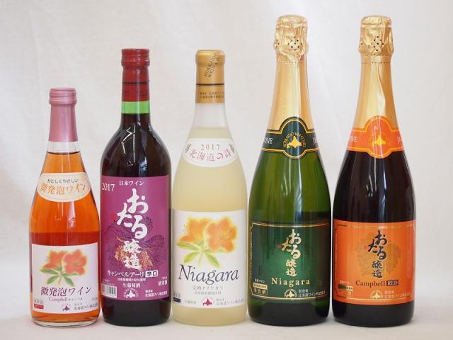 60 Off 北海道おたるスペシャルワイン5本セット やや甘口 辛口赤 720ml 5本 初回限定 Penkraft In