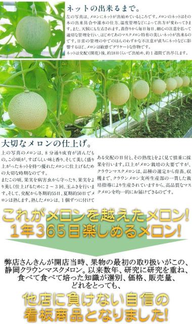 驚きの安さ 送料無料 静岡県産 クラウンメロン マスクメロン 静岡メロン A 2玉 公式の Bayounyc Com 驚きの安さ 送料無料 静岡県産 クラウンメロン マスクメロン 静岡メロン A 2玉 公式の Bayounyc Com