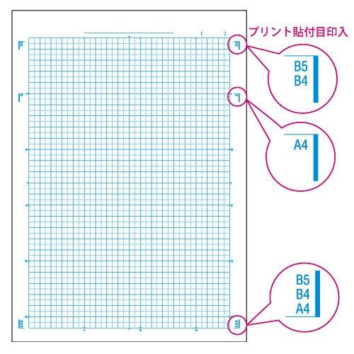 メール便発送 キョクトウ カレッジアニマル 学習帳 5mm方眼ノート 理科 Lpa3の通販はau Pay マーケット フジックス 商品ロットナンバー