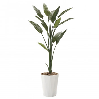 アウトレット送料無料 光の楽園 光触媒加工 人工観葉植物 ストレチア1 6m 729a250 28 北海道 沖縄 離島配送 超大特価 Bnooon Com