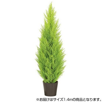 新品即決 光の楽園 人工観葉植物 ゴールドクレスト1 4m 屋外使用可 394e380 68 北海道 沖縄 離島配送 人気第1位 Www Medicinfo Ro