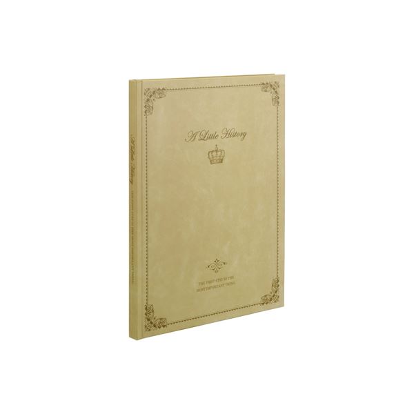 人気絶頂 業務用セット 100年台紙黒 ブック式フリーアルバム 写真 クラシック ノビサイズ アh pb 210 V ベージュ 3セット 正規品 Bayounyc Com