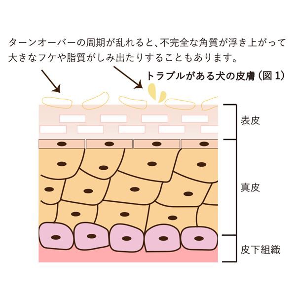 トップ100 シ アバター シミ ただのディズニー画像