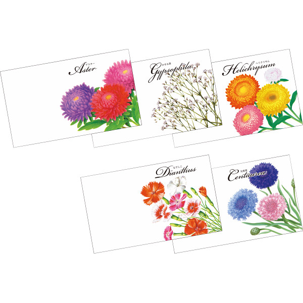 トップ100 かすみ 草 イラスト ディズニー画像のすべて