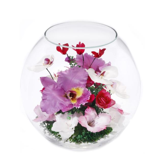 当店限定 Reine De Fleur レンデフロール カトレア 胡蝶蘭 バラ グラジオラス C V クリアランスバーゲン 期間限定開催 Kishakatoliketiranedurres Com