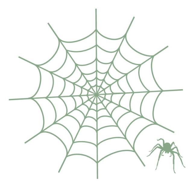 Wallstyle ウォールステッカー 蜘蛛 450mm 450mm Ws 144 グレイッシュエメラルドの通販はau Wowma ワウマ フジックス 商品ロットナンバー