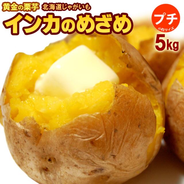 プチインカのめざめ 5kg 北海道産 じゃがいも ジャガイモ じゃが芋 送料無料