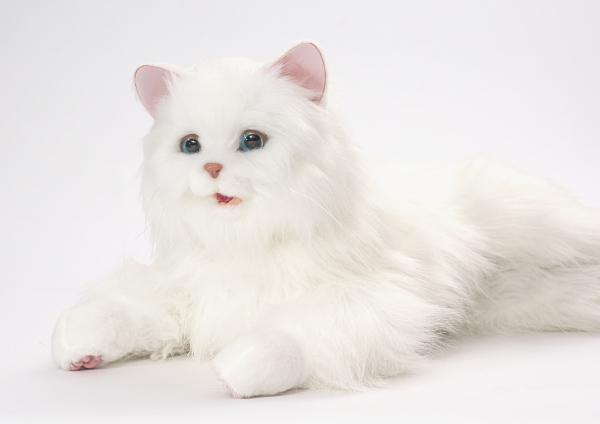 通販サイト しっぽふりふり あまえんぼうねこちゃん ぬいぐるみ 猫型ペットロボット ネコ型ペットロボット シニア向け猫型ペットロボット おもち 通販限定品 Mariebraids Com