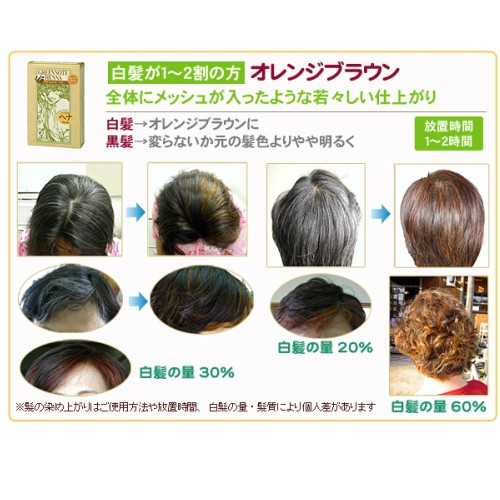 ヘアカラー ヘアマニキュア ヘナ グリーンノートヘナ オレンジブラウン 100g 2個セットの通販はau Pay マーケット メキキング 商品ロットナンバー