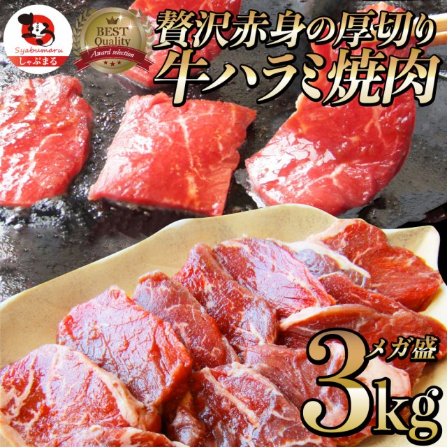 絶対一番安い 牛 ハラミ 焼肉 サガリ 3kg 250g 12p 牛肉 メガ盛り バーベキュー q お花見 花見 肉用 当日発送 美味しい ホットプレート 焼肉 お ラッピング無料 Carlavista Com