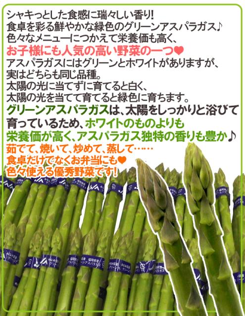 楽天市場 グリーンアスパラガス 150 250本前後 約5kg 北海道 長野 広島 佐賀 福岡 など産地厳選 予約 3月末以降 送料無料 全日本送料無料 Olsonesq Com