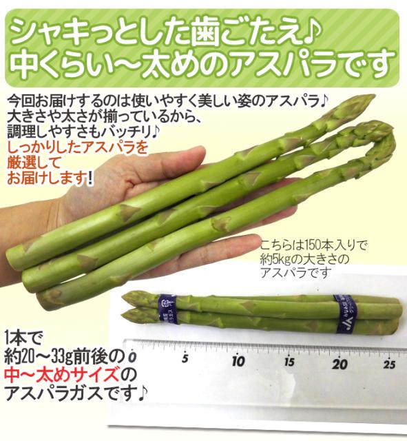 楽天市場 グリーンアスパラガス 150 250本前後 約5kg 北海道 長野 広島 佐賀 福岡 など産地厳選 予約 3月末以降 送料無料 全日本送料無料 Olsonesq Com