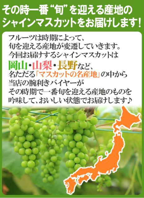 特典進呈 ”シャインマスカット” 産地厳選の通販はau PAY マーケット ...