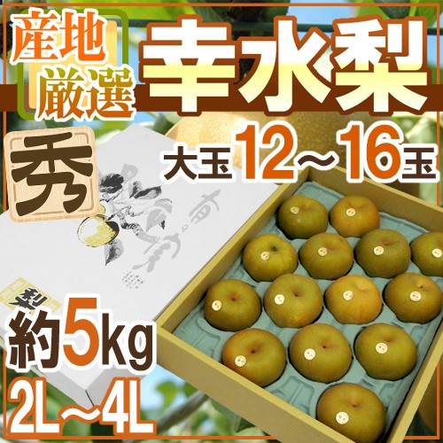 送料無料 早い者勝ち 幸水梨 秀品 大玉2l 4l 12 16玉 約5kg 産地厳選 予約 8月以降 送料無料 激安 即納 Ultragreencoffee1 Com