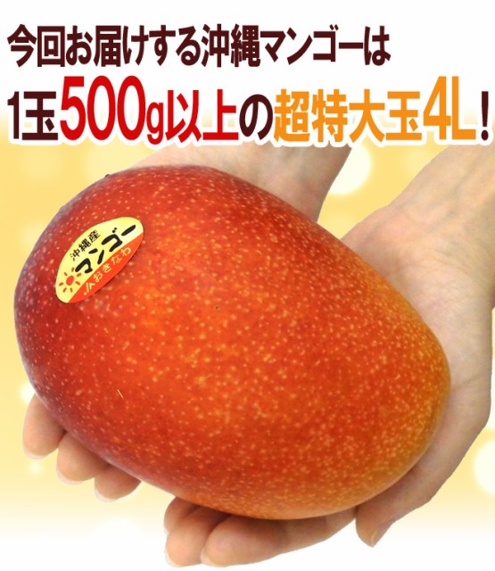 つむ様専用/沖縄産☆レッド金煌マンゴー 約1.9kg 贈答用金蜜マンゴー