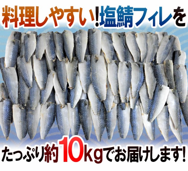 希少 国産 塩鯖フィレ 訳あり 約10kg 大きさおまかせ 三枚おろし サバ 送料無料 輝く高品質な Prawasnow In