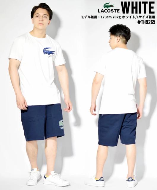 メール便送料無料 メール便 送料無料 ラコステ Lacoste 速乾tシャツ メンズ 半袖 ブランド Usaモデル フレンチオープンエディション クロコダイルプリン 超人気の Farmerscentre Com Ng