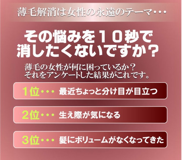 超特価激安 お得な2本セット シュッっとひとふき 分け目ふっくら マイ ヘアーレディ ｇ 春夏新色 Prawasnow In