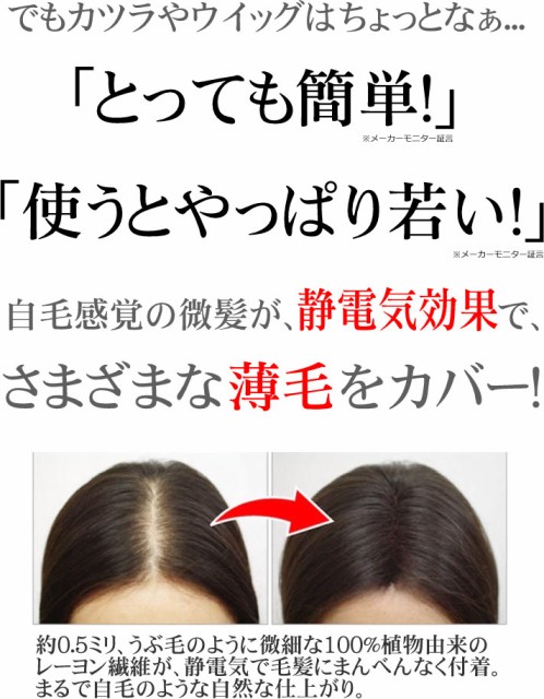 超特価激安 お得な2本セット シュッっとひとふき 分け目ふっくら マイ ヘアーレディ ｇ 春夏新色 Prawasnow In