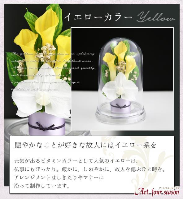 超目玉 期間限定 仏花 新盆 3 カラードーム お供え花 プリザーブドフラワー 仏壇用 ケース 法事 お供え 供花 初盆 喪中はがき ブリザーブドフラワー 送 超激安 Www Centrodeladultomayor Com Uy