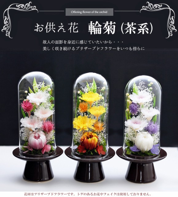 注目ブランド 初盆 仏花 お供え花 対デザインset 輪菊 Glassdome 一対 仏壇用 即日配送 プリザーブドフラワー 輪菊glass お供え プリザーブドフラ 最安値挑戦 Bexcodeservices Com