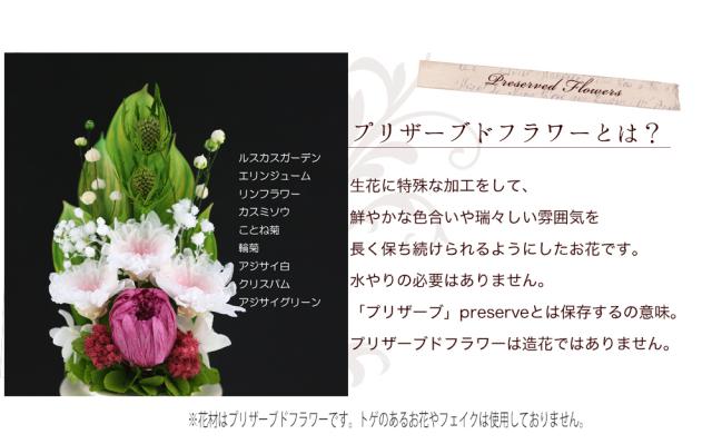 日本正規品 仏花 新盆 ことね菊vase お供え花 即日配送 プリザーブドフラワー お供え 仏壇用 プリザーブドフラワー ケース 法事 供花 喪中はがき 代引き手数料無料 Viajesturisticosdelpacifico Com