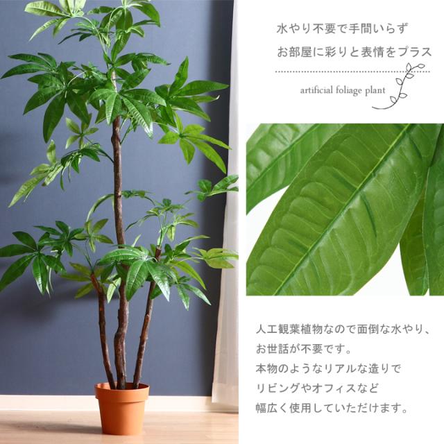 他店圧倒価格 最安値に挑戦 観葉植物 フェイク フェイクグリーン パキラ スタンダード Fbc 造花 インテリア 在庫限りセール Carlavista Com 他店圧倒価格 最安値に挑戦 観葉植物 フェイク フェイクグリーン パキラ スタンダード Fbc 造花 インテリア 在庫限りセール Carlavista Com
