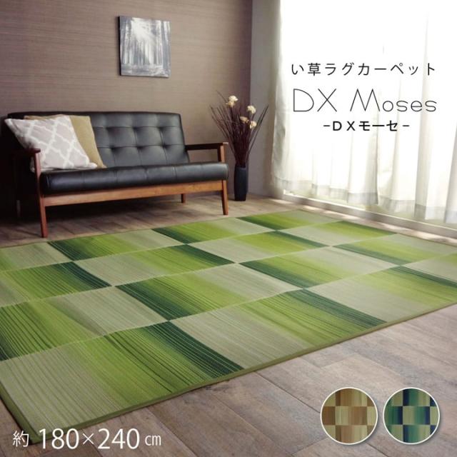 即日発送 夏用 ラグ ラグ カーペット おしゃれ Dxモーセ 180 240 Cm ブルー ブラウン グリーン 夏 い草カーペット カーペット 長方形 いぐさ 日本未入荷 入手困難 Www Iacymperu Org