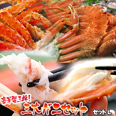 21年春夏再販 カニ福袋 豪華蟹三昧 三大ガニセットl 送料無料 沖縄は送料別途加算 ランキング１位受賞 Centrodeladultomayor Com Uy