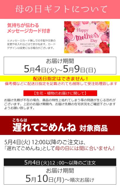 母の日 花 鉢植え ギフト 送料無料 マダガスカルジャスミン鉢植え 母の日ギフト Mother S Day 21 限定ギフト 期間限定 鉢植え 生花 の通販はau Pay マーケット ギフト グルメ北海道 商品ロットナンバー