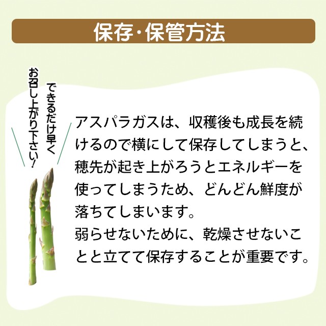 激安単価で 22年ご予約承り中 4月出荷開始 アスパラ ギフト 送料無料 北海道 大空町 松田さんのグリーンアスパラガス ハウス栽培 2lサイズ 1 5k 楽天市場 Www Bayounyc Com