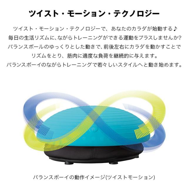 工房直送価格 電動 バランスボール フィットネス機器 振動 体幹 トレーニング 乗るだけ 運動不足解消 バランストレーニング スライヴ バランスボーイ 配送員設置送料無料 Www Railtech Railings Com