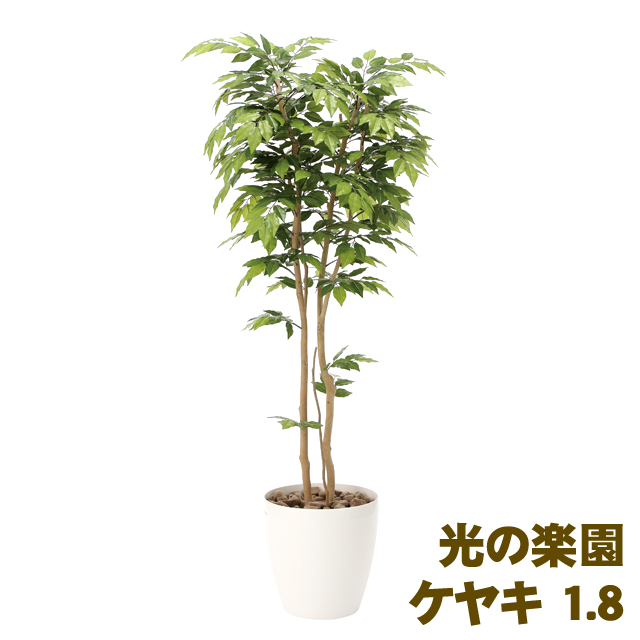 新発 送料無料 光の楽園 807a400 40 ケヤキ 1 8 安い Olsonesq Com