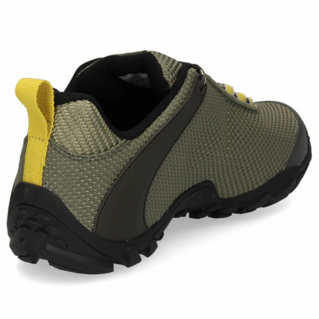 men's chameleon 8 storm gore tex
